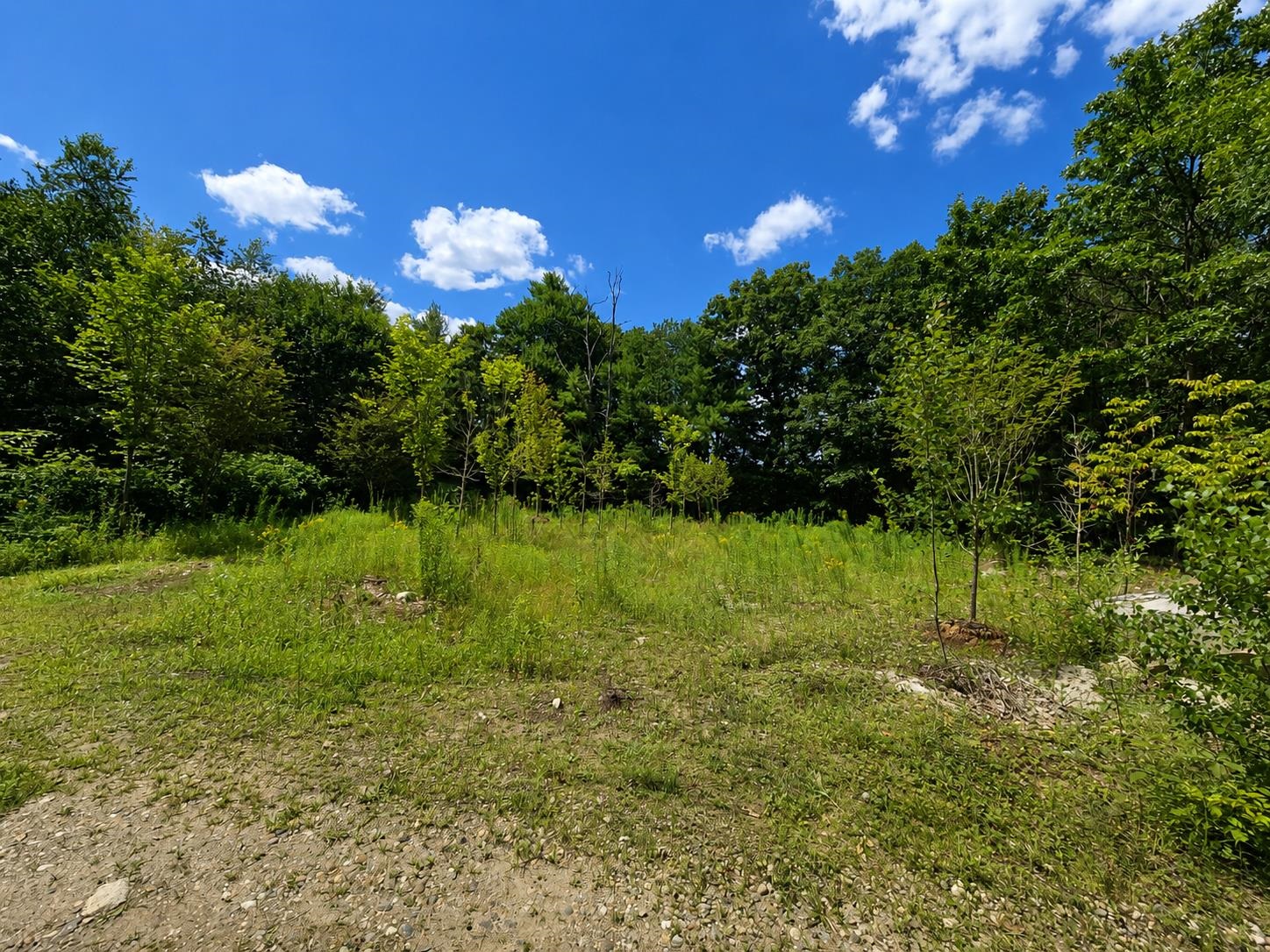 192 Londonderry Turnpike Property Photo 11