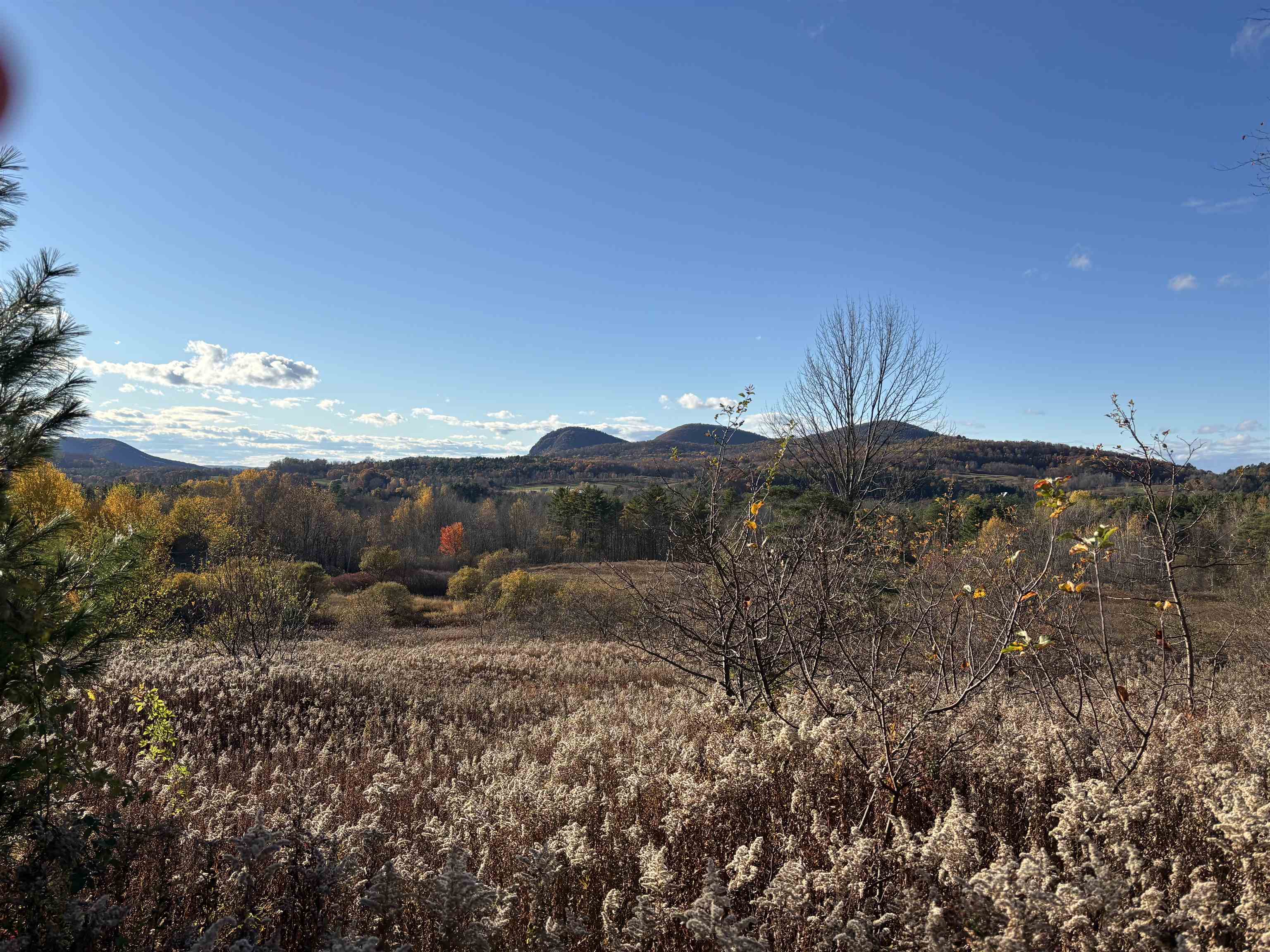 1267 Kelley Hill Road Property Photo 45