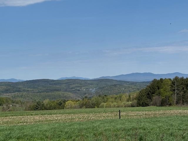 389 Young Road Property Photo 1
