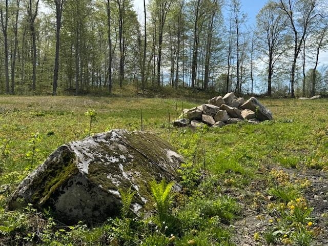 389 Young Road Property Photo 11
