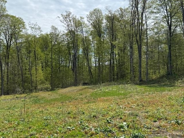 389 Young Road Property Photo 12