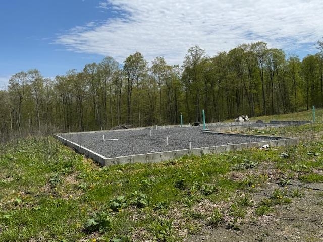 389 Young Road Property Photo 17