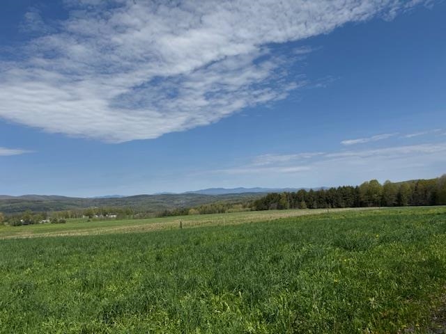 389 Young Road Property Photo 18