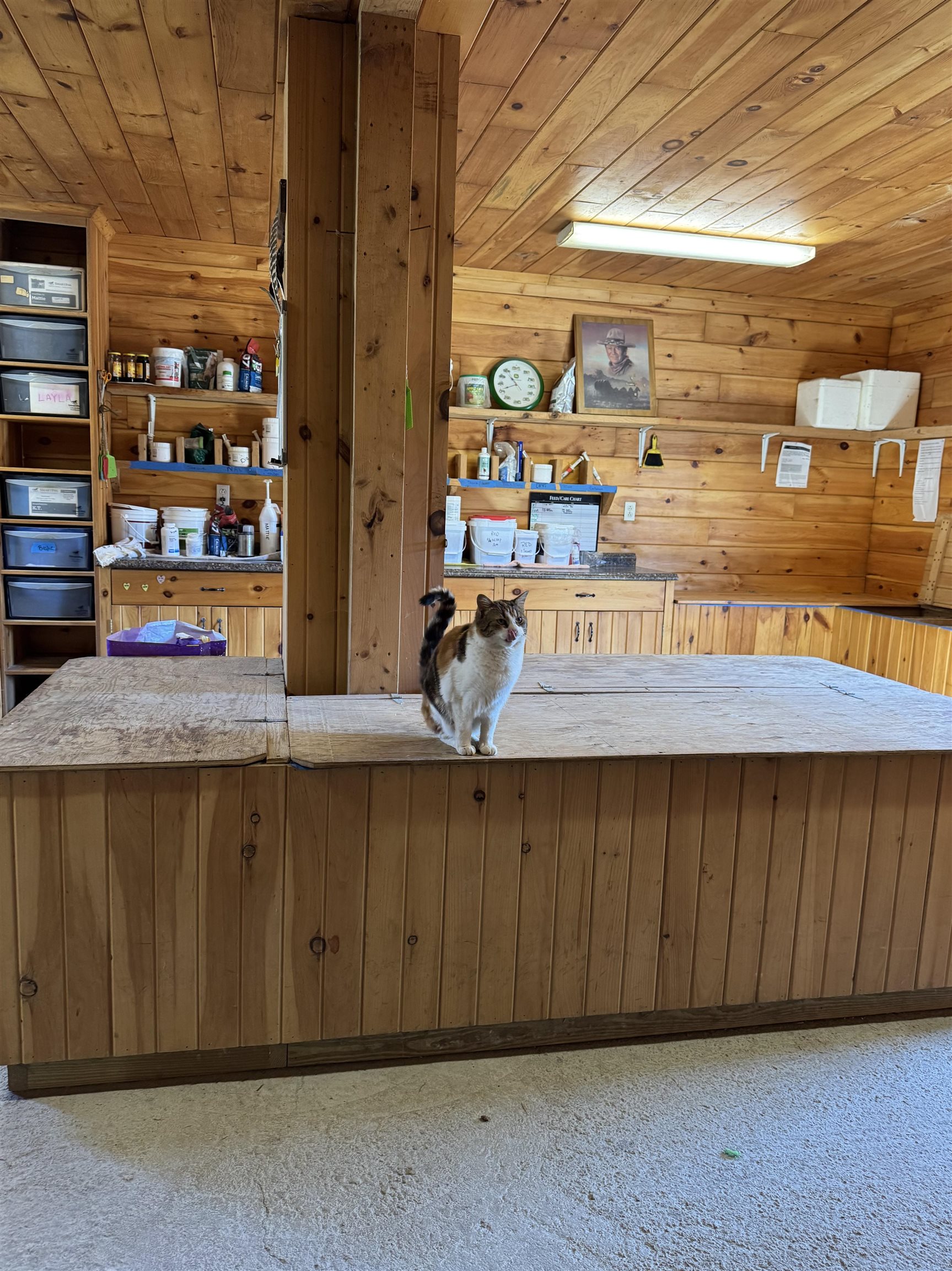 1374 Us Route 7s Property Photo 15