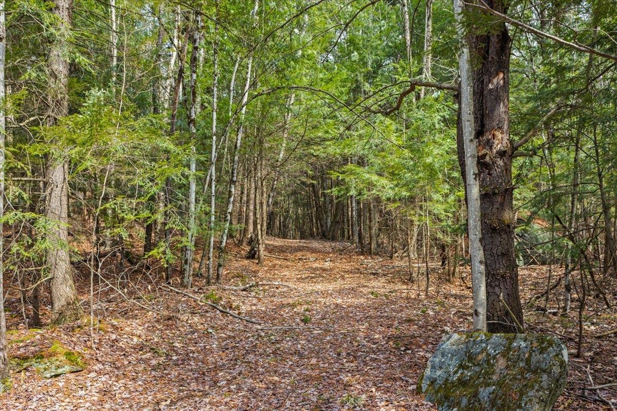 Lots 2 & 3 Hemlock Ridge Property Photo 9