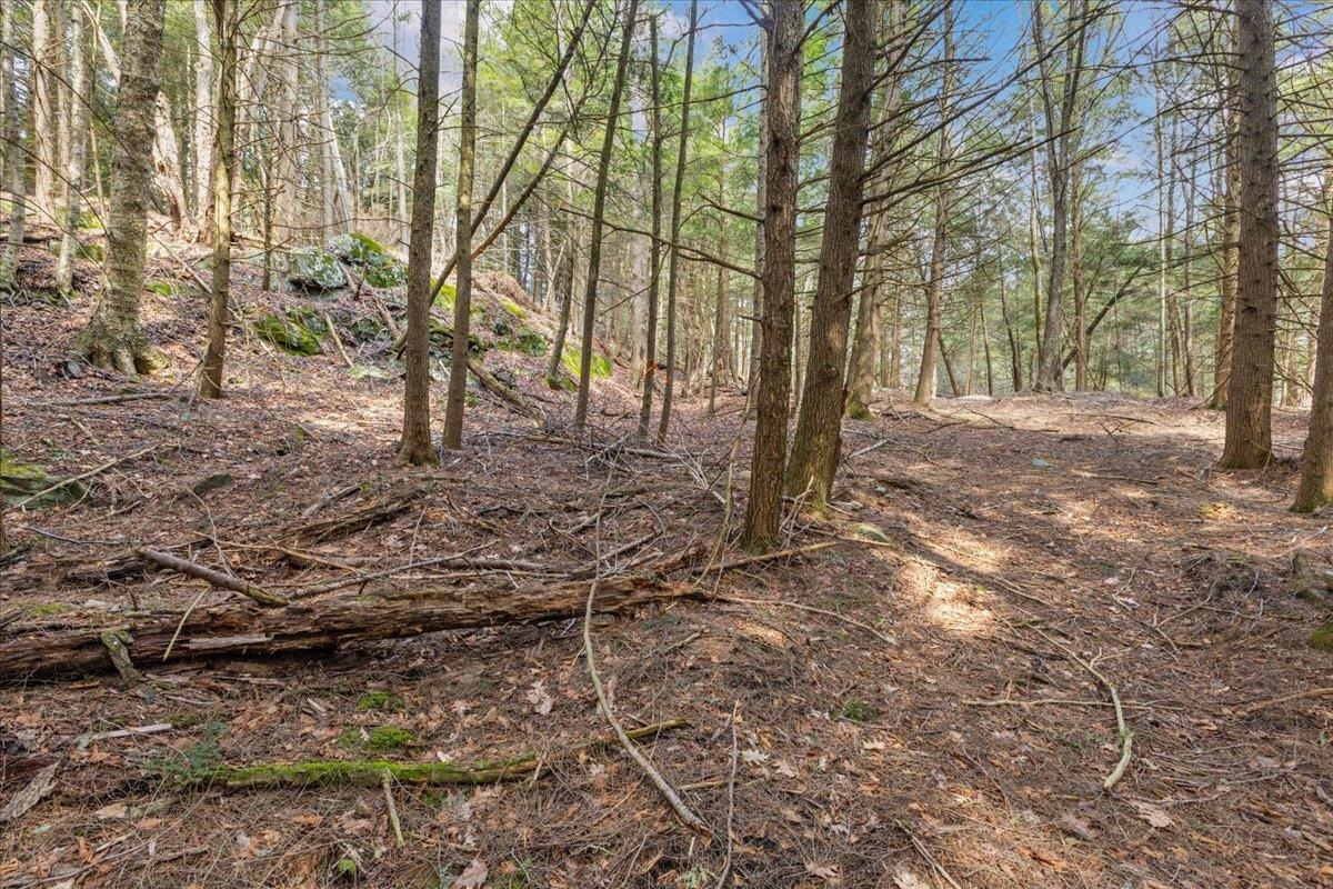 Lots 2 & 3 Hemlock Ridge Property Photo 10