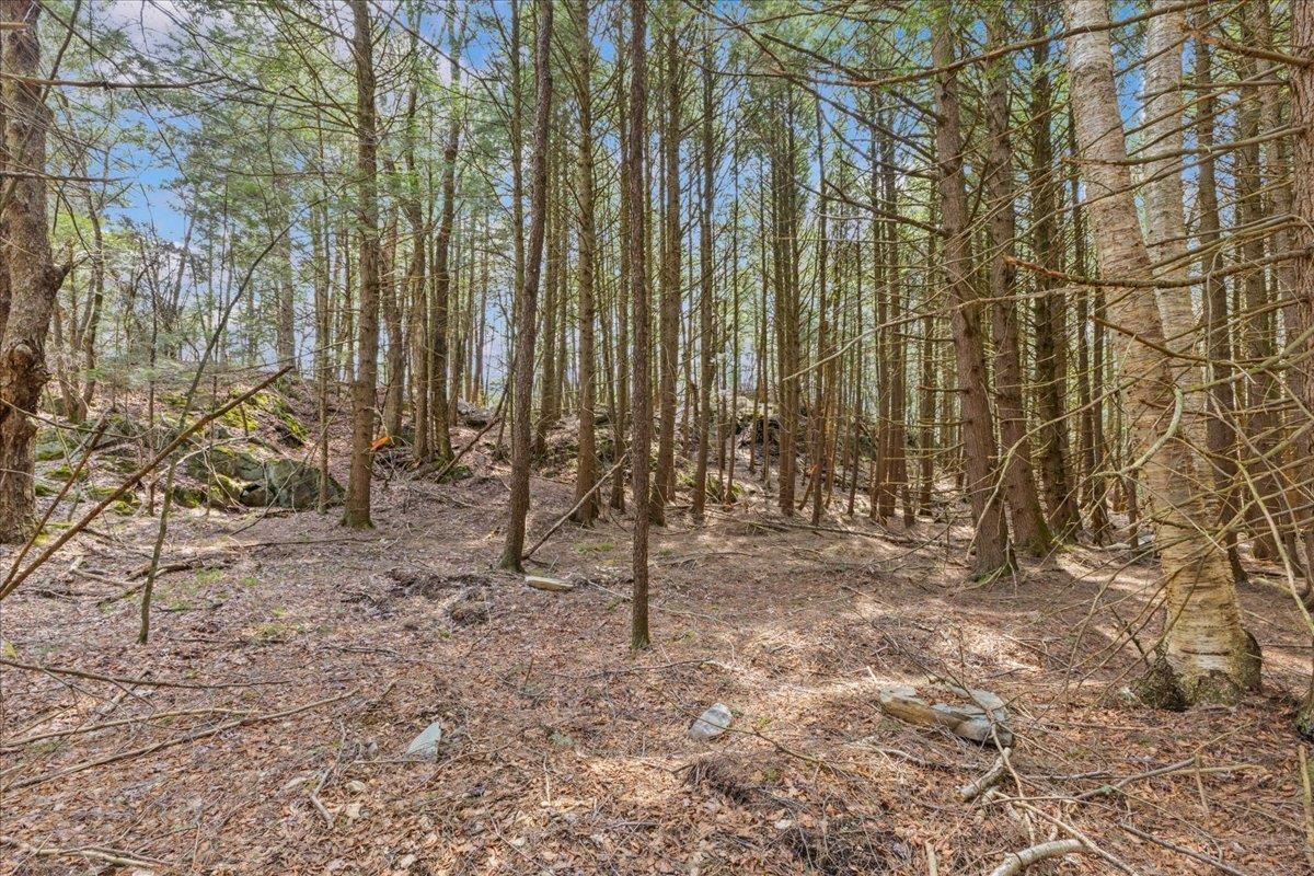 Lots 2 & 3 Hemlock Ridge Property Photo 11