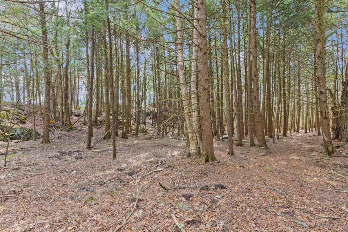 Lots 2 & 3 Hemlock Ridge Property Photo 12