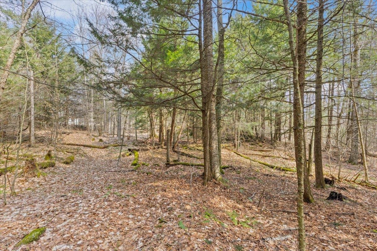 Lots 2 & 3 Hemlock Ridge Property Photo 13