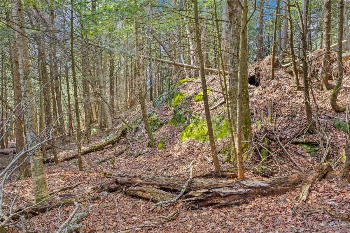 Lots 2 & 3 Hemlock Ridge Property Photo 14