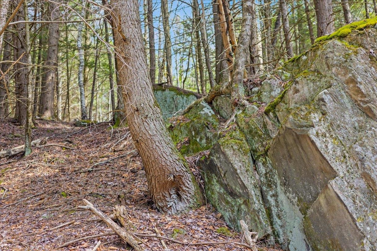 Lots 2 & 3 Hemlock Ridge Property Photo 15