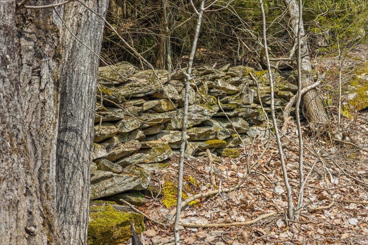 Lots 2 & 3 Hemlock Ridge Property Photo 17
