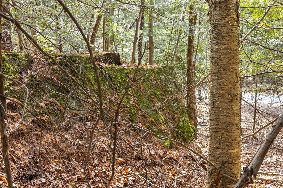 Lots 2 & 3 Hemlock Ridge Property Photo 18