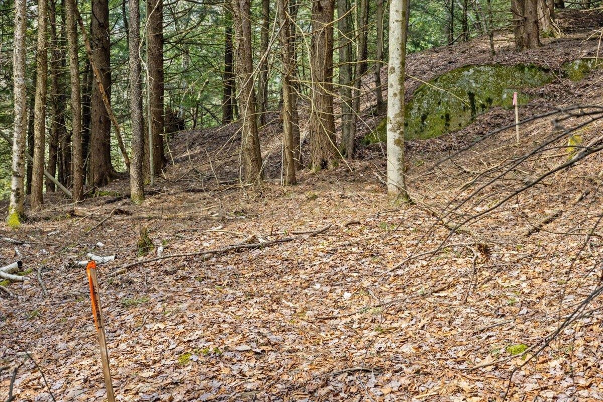 Lots 2 & 3 Hemlock Ridge Property Photo 19