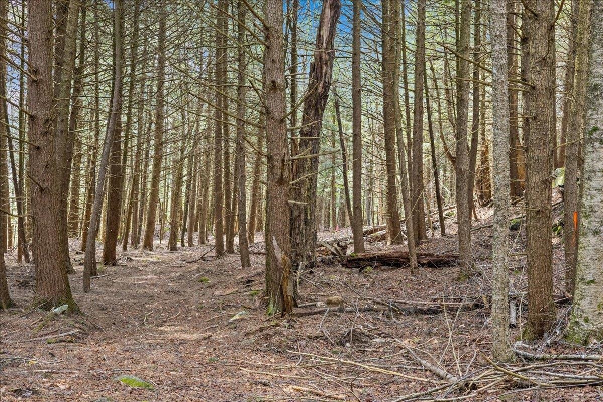 Lots 2 & 3 Hemlock Ridge Property Photo 20