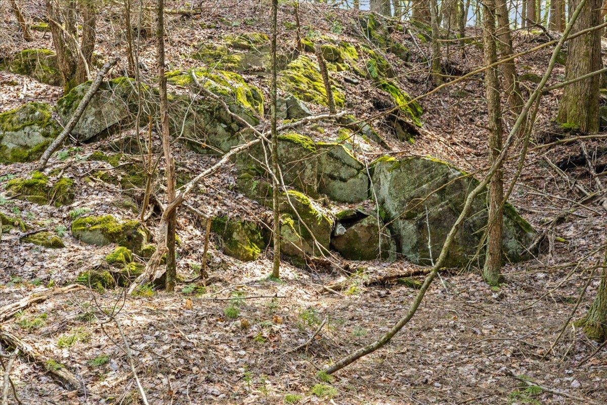 Lots 2 & 3 Hemlock Ridge Property Photo 21