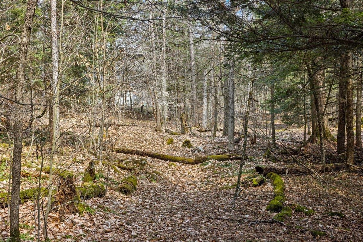 Lots 2 & 3 Hemlock Ridge Property Photo 23