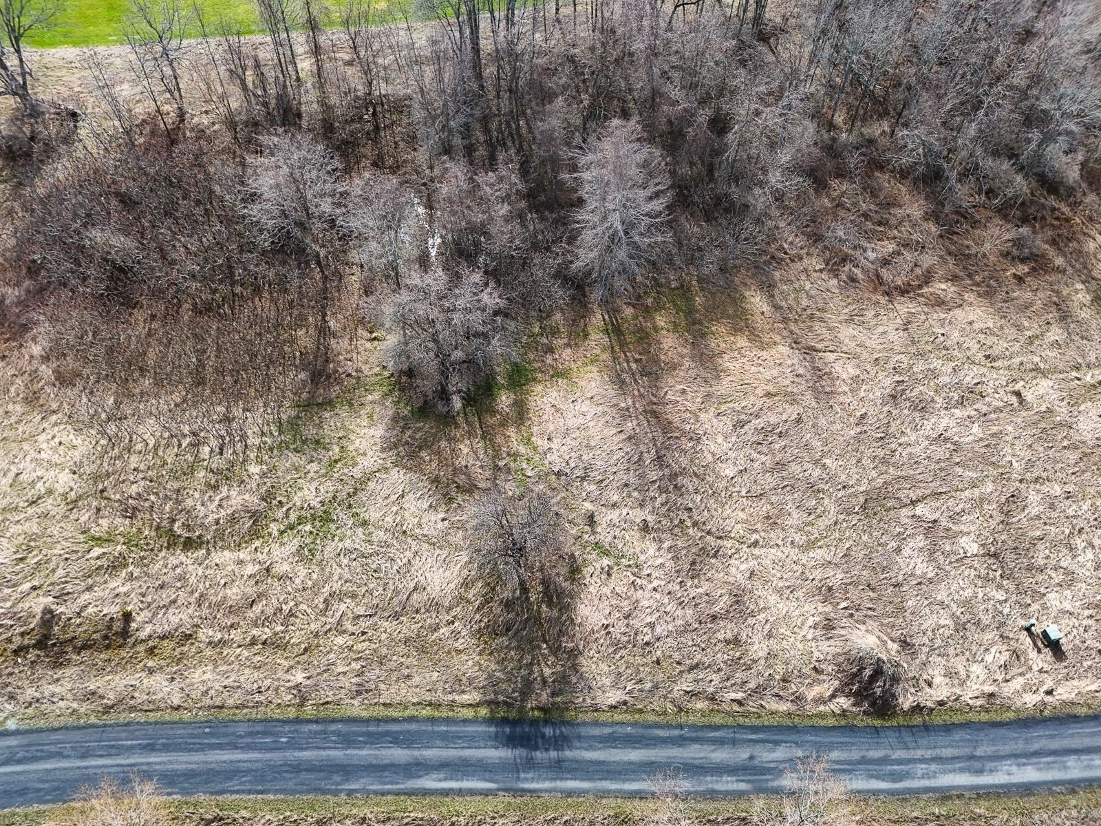 220 Terrapin Lane Property Photo 16