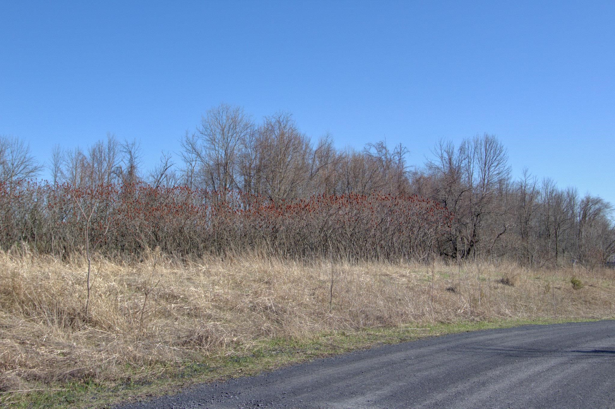 220 Terrapin Lane Property Photo 26