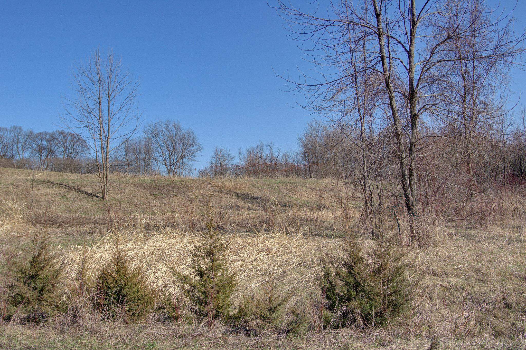 Lot 1 Terrapin Lane Property Photo 16