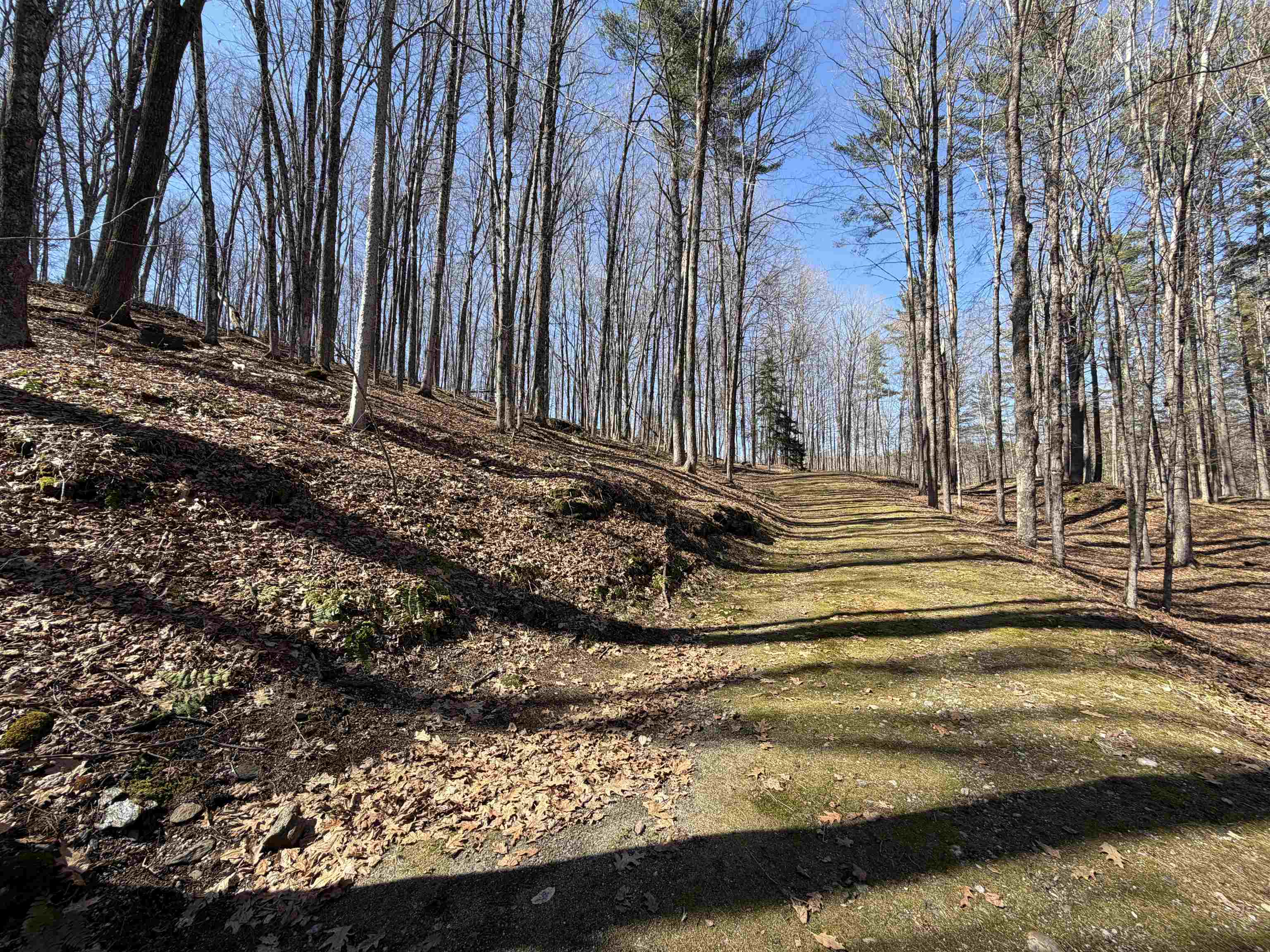 0 Oak Ridge Way Property Photo 2