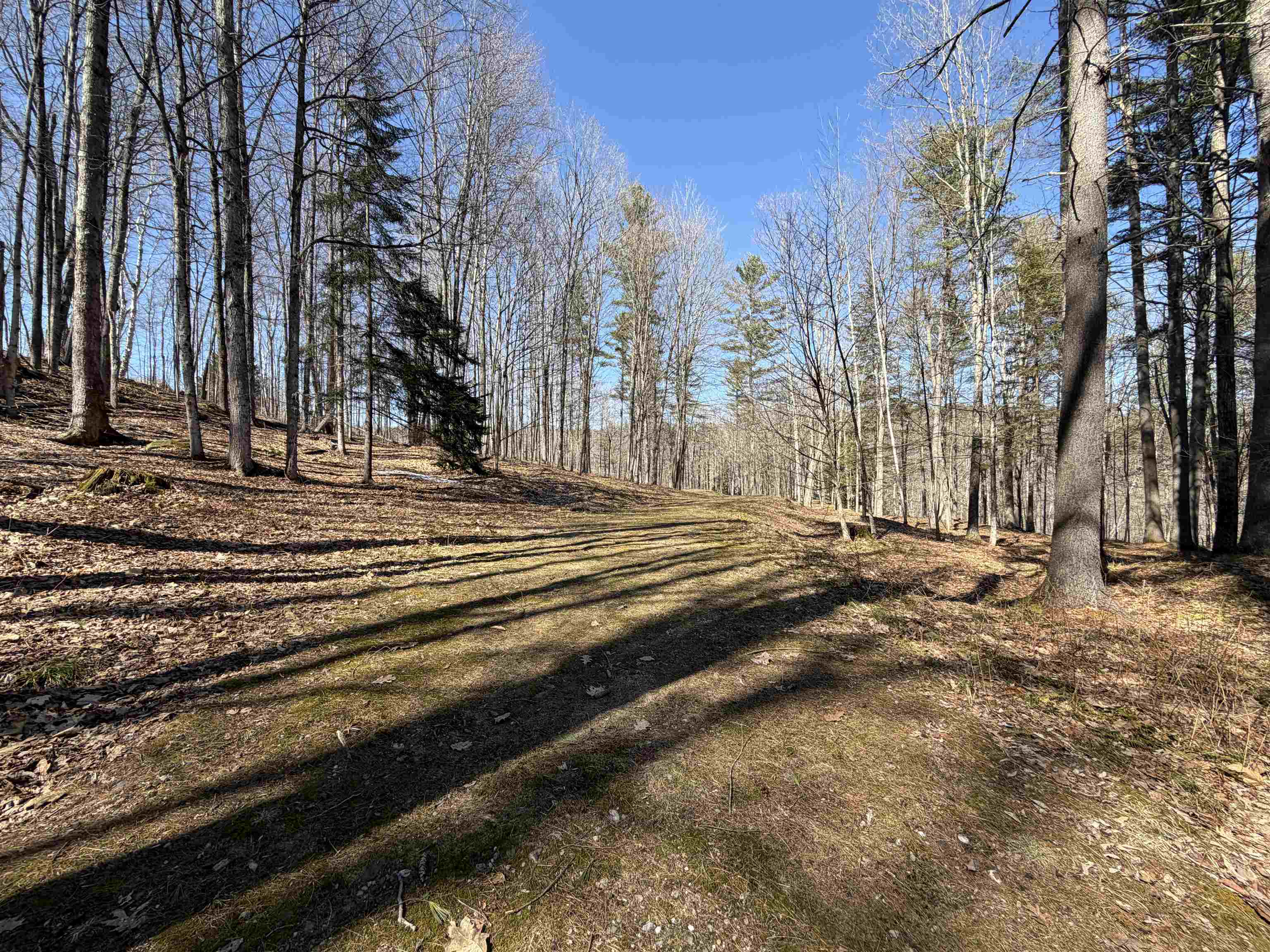 0 Oak Ridge Way Property Photo 3