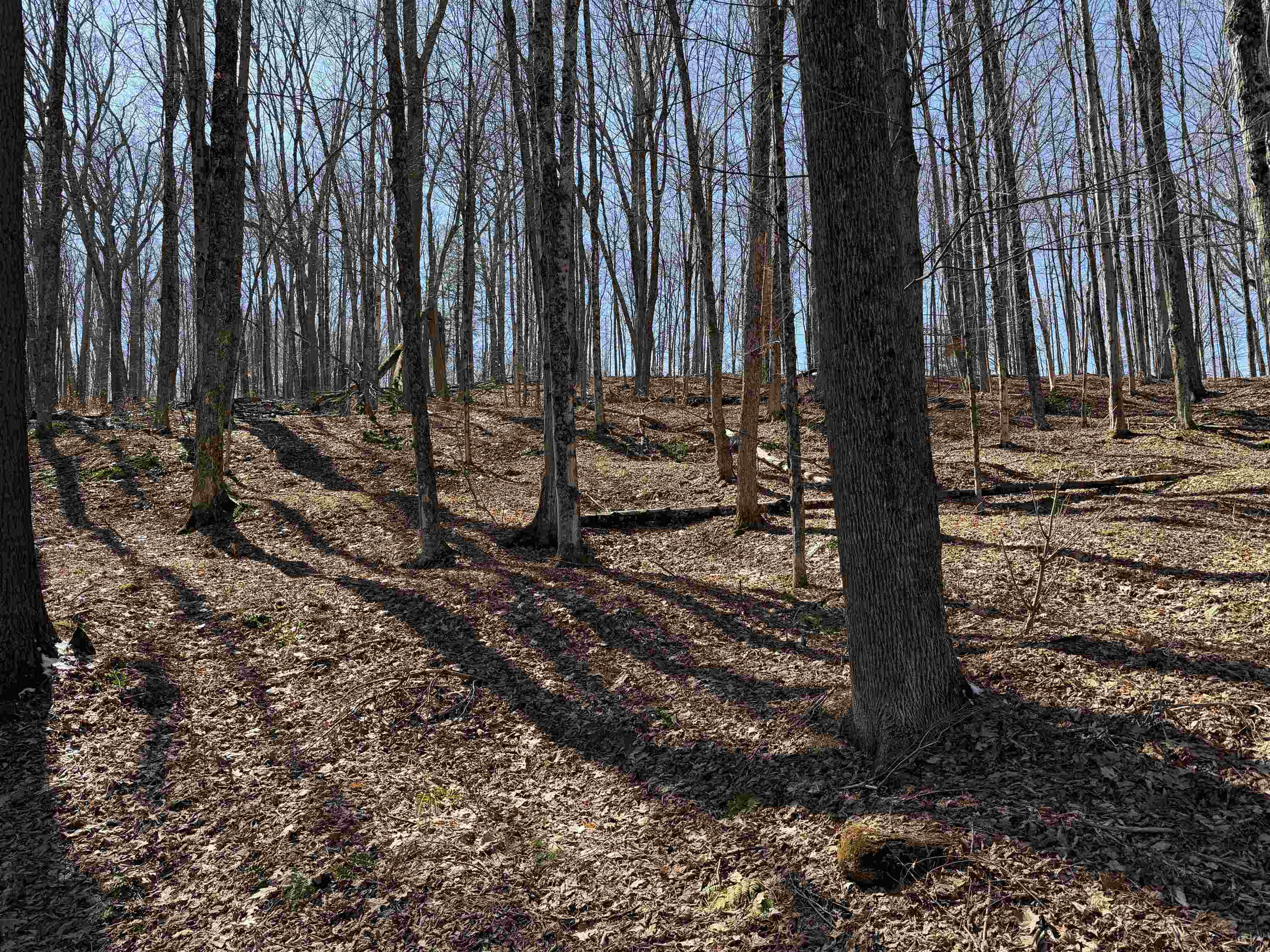 0 Oak Ridge Way Property Photo 5