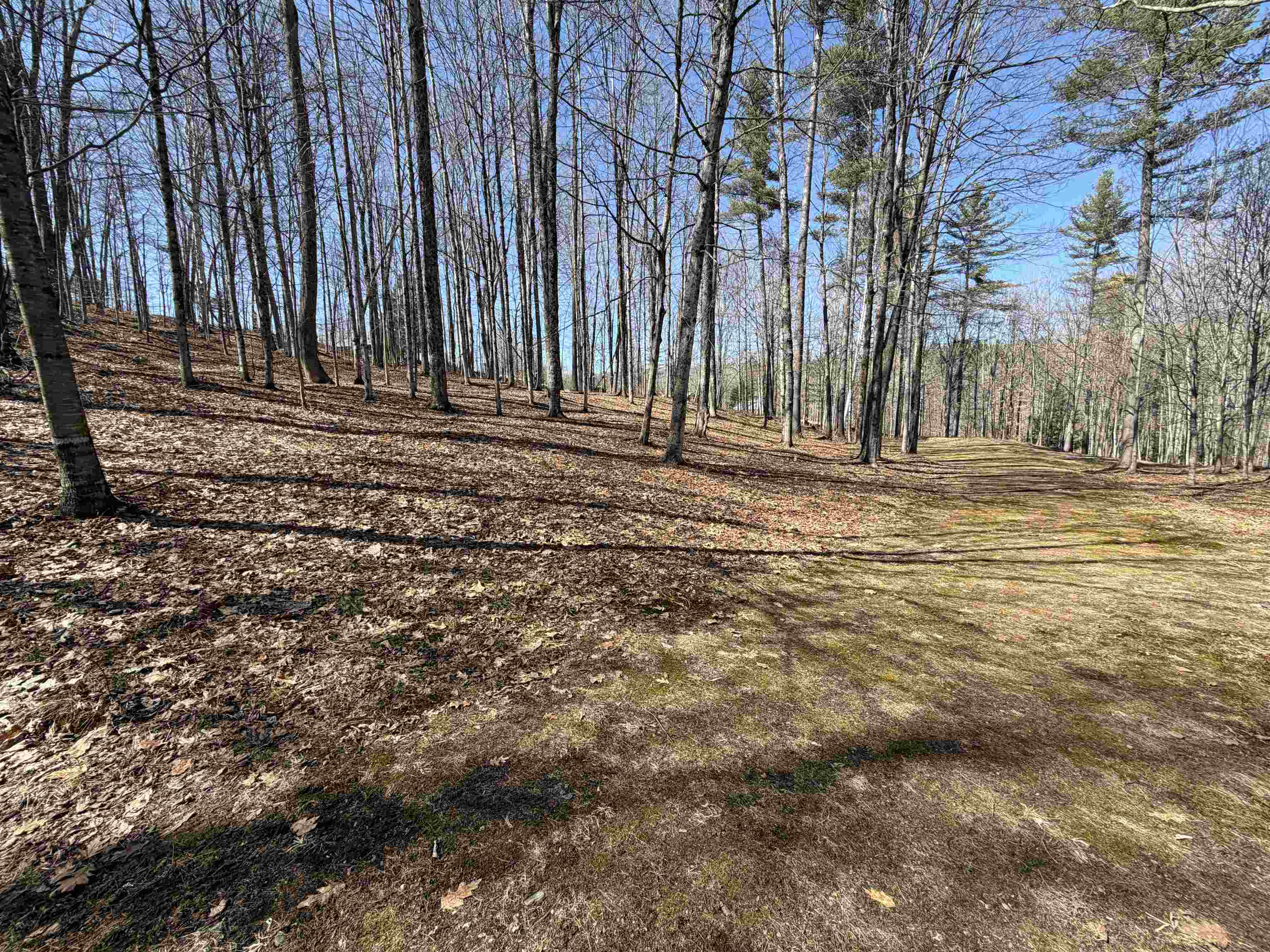 0 Oak Ridge Way Property Photo 7