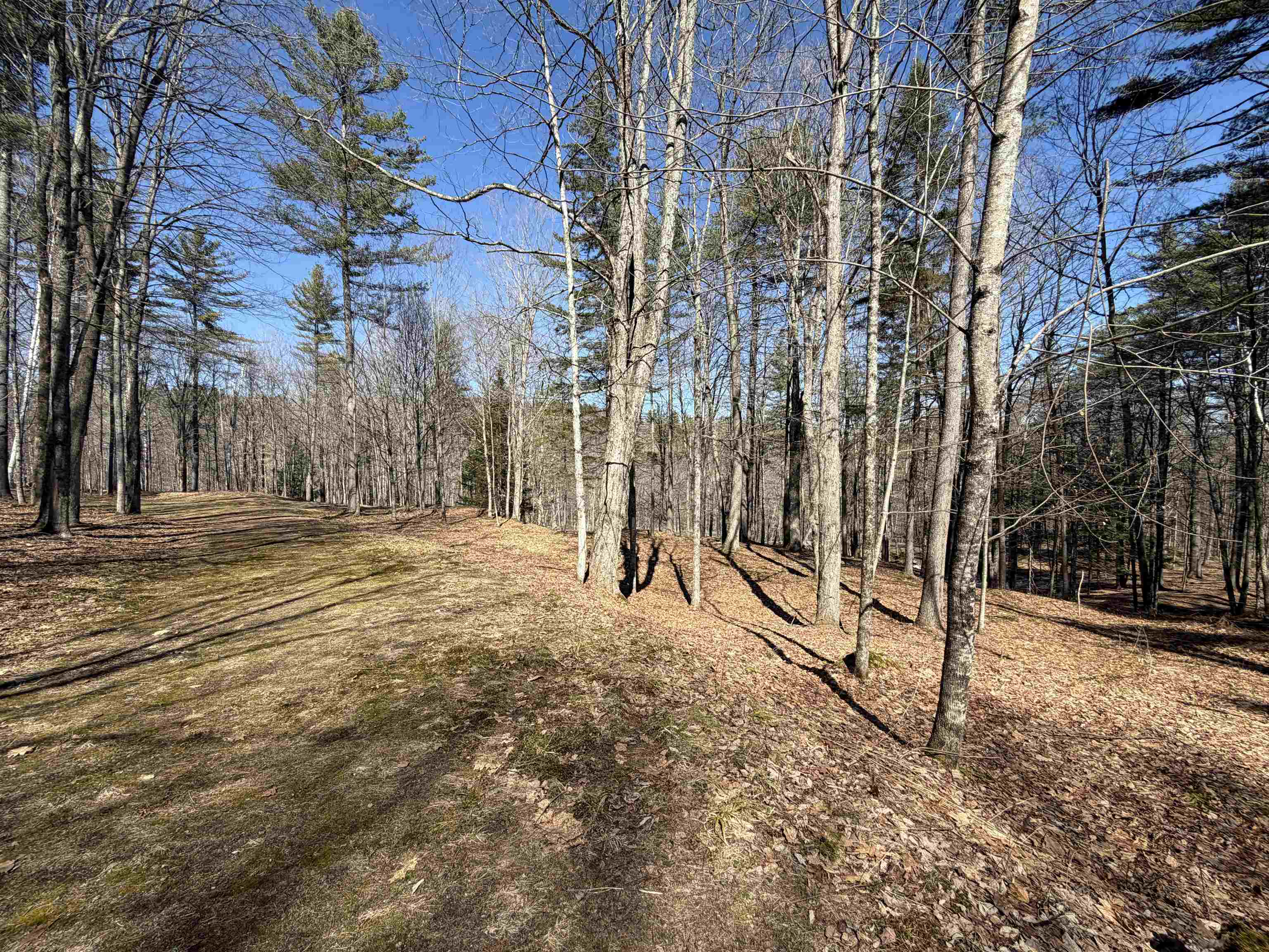 0 Oak Ridge Way Property Photo 8