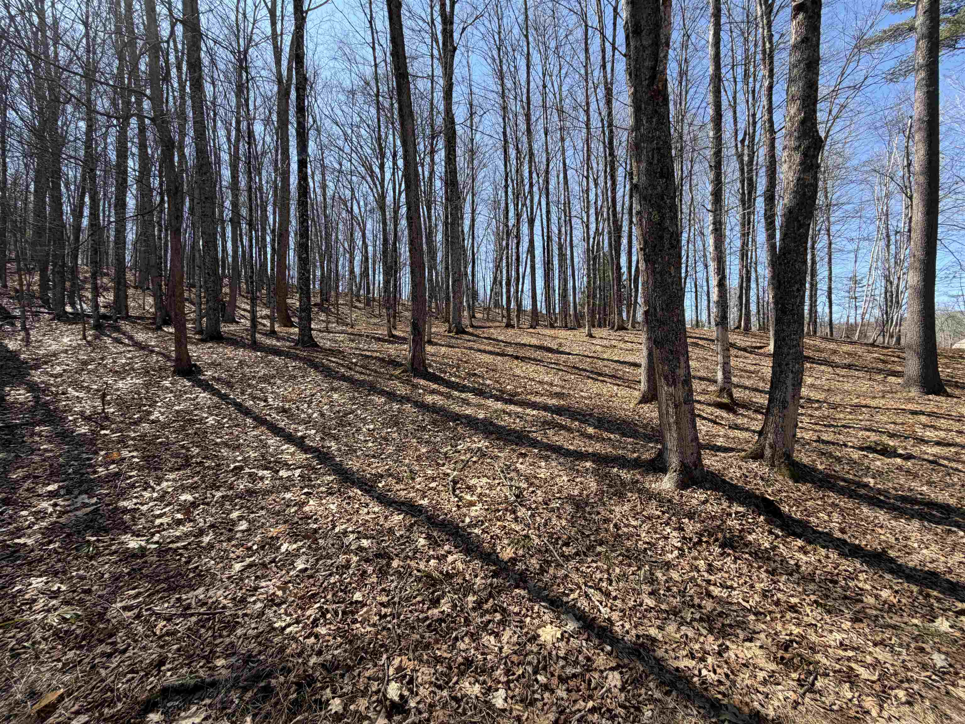 0 Oak Ridge Way Property Photo 9