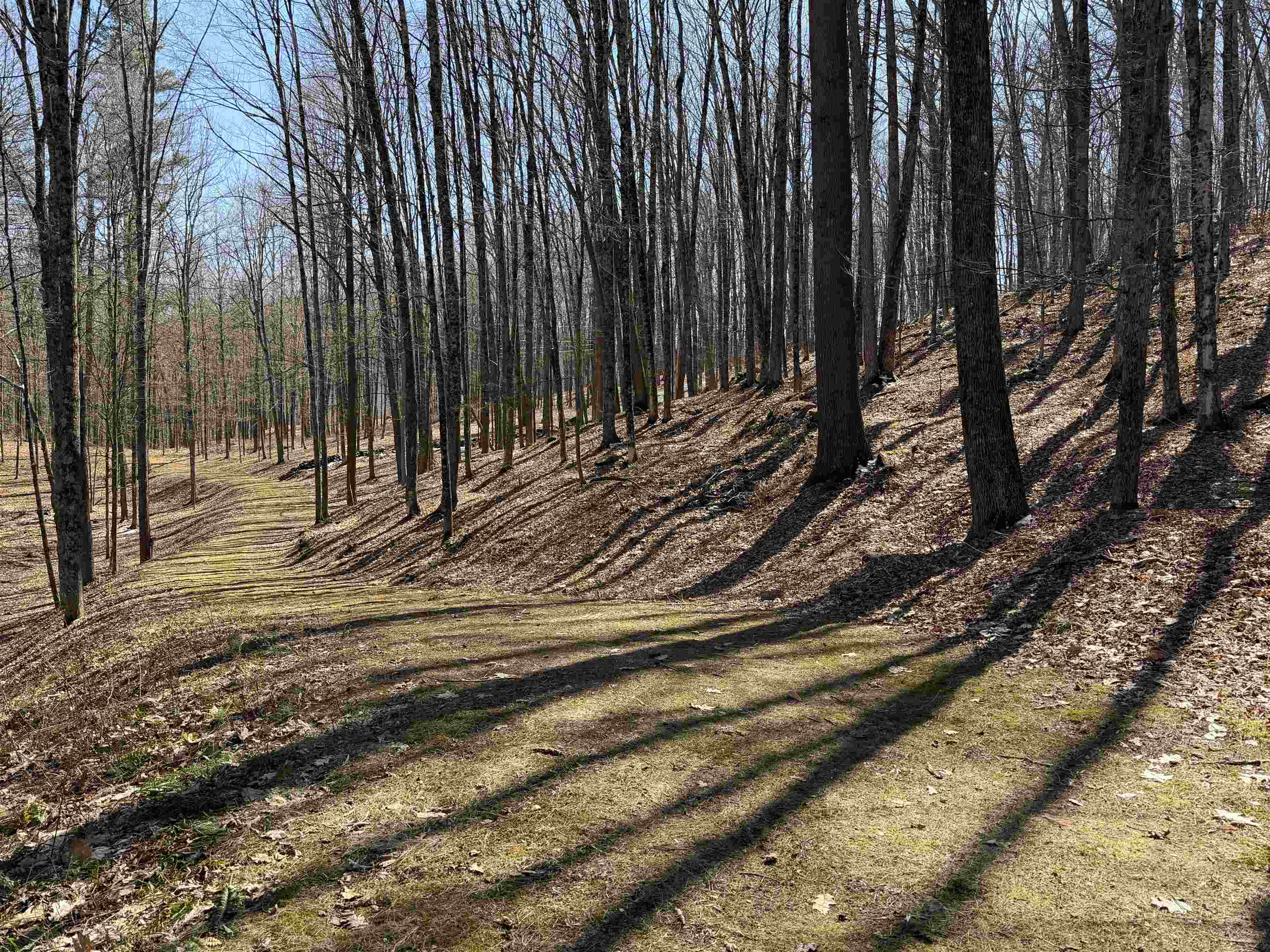 0 Oak Ridge Way Property Photo 10