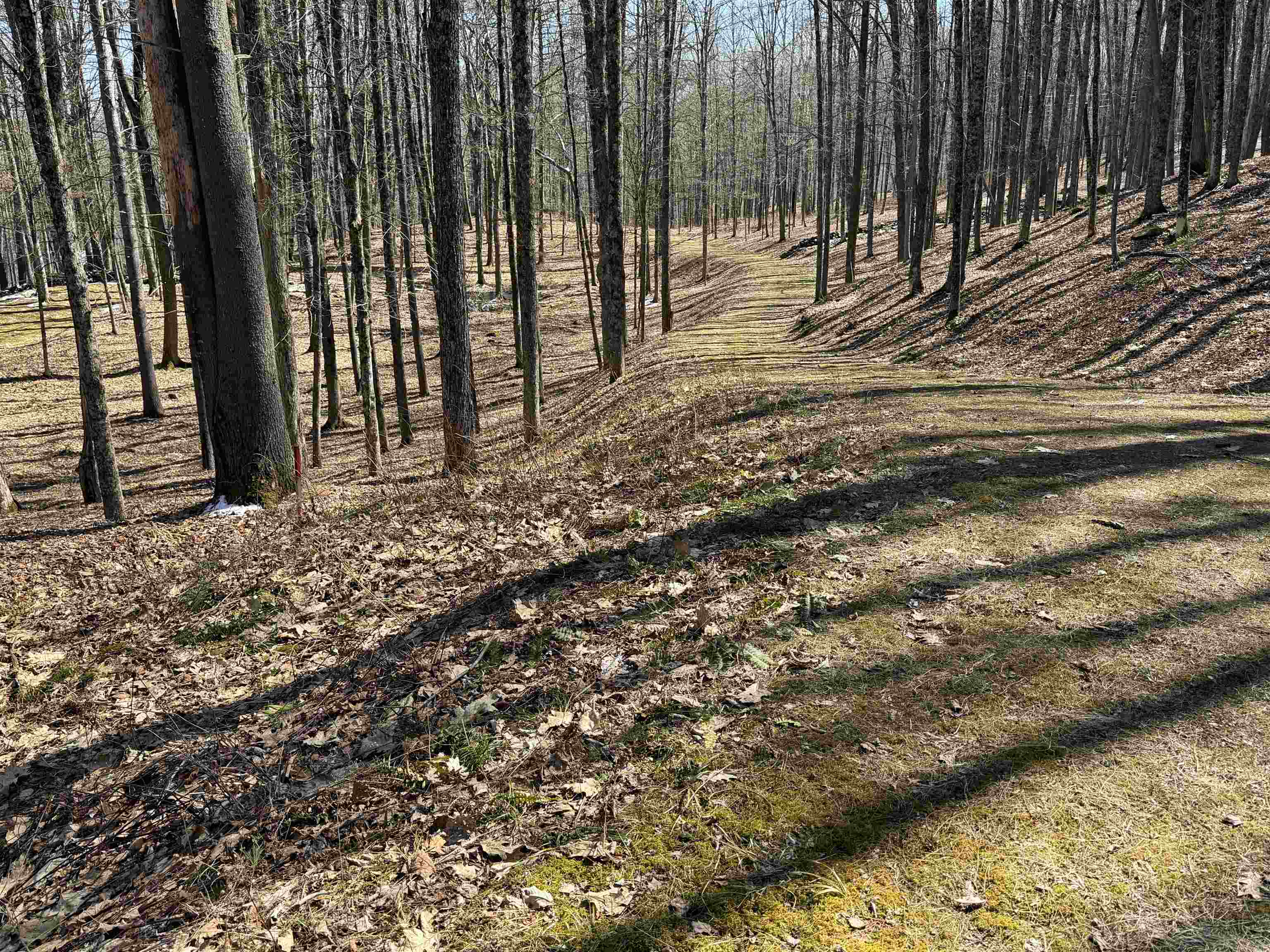 0 Oak Ridge Way Property Photo 12