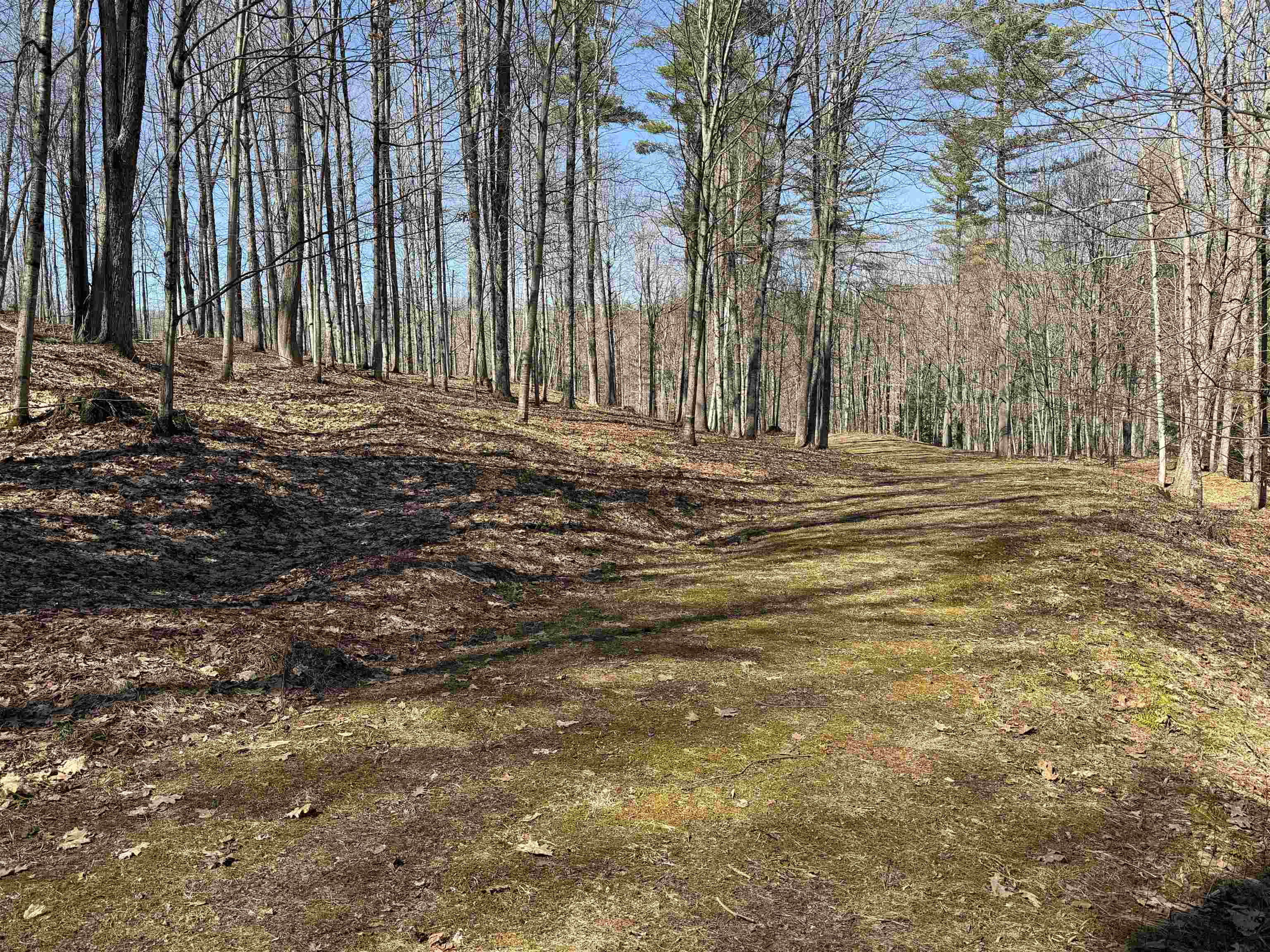 0 Oak Ridge Way Property Photo 13