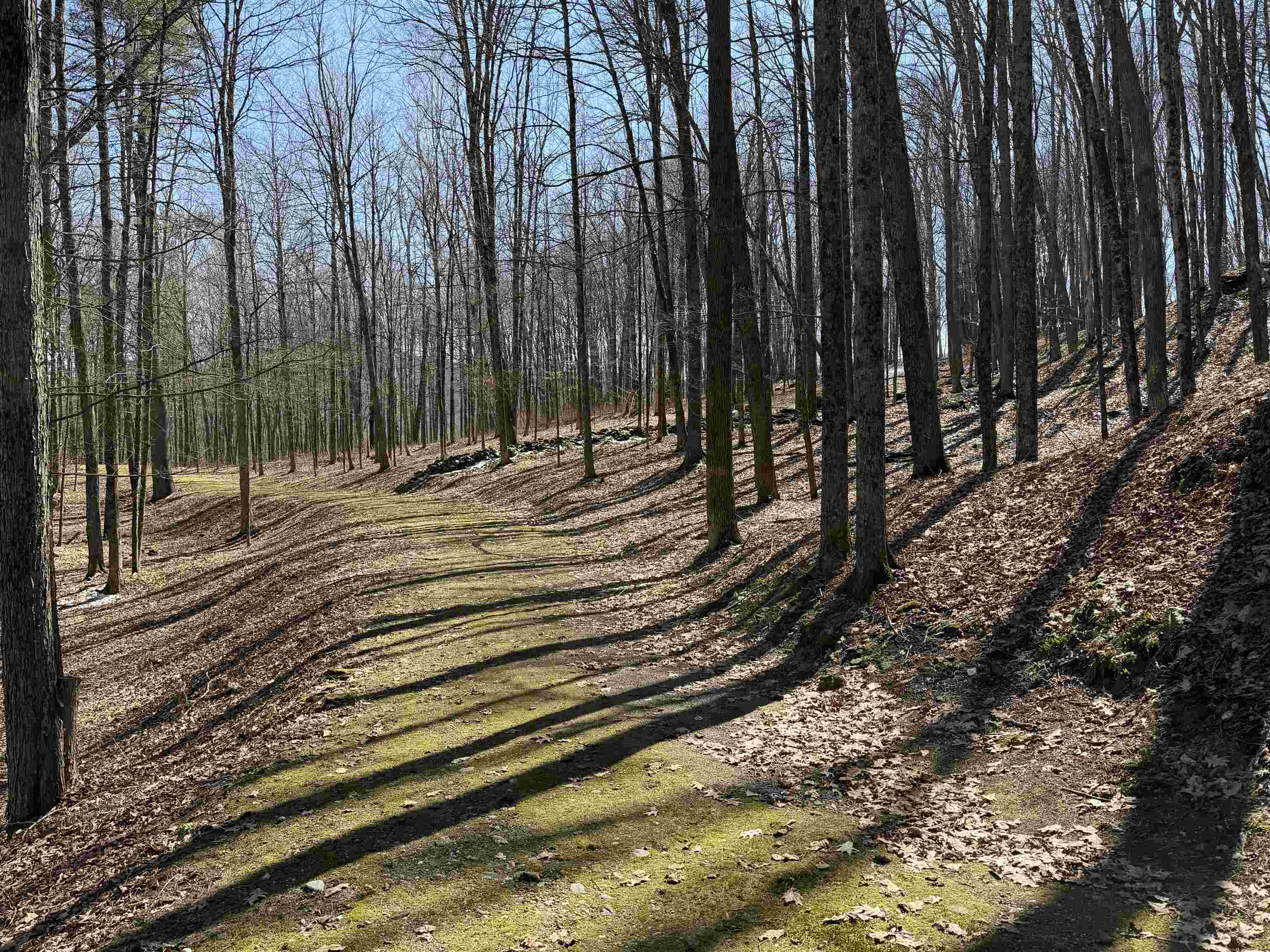 0 Oak Ridge Way Property Photo 14