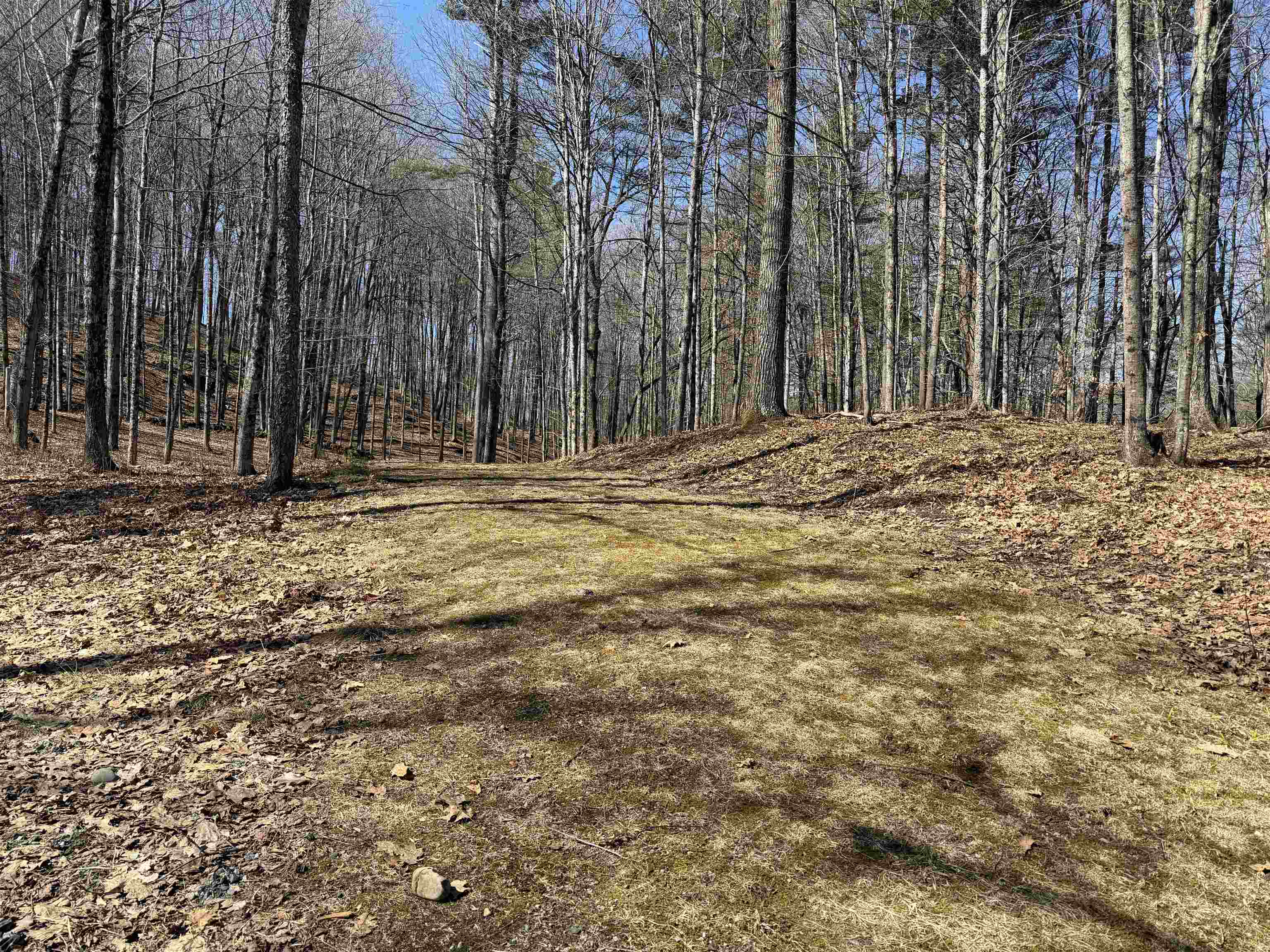 0 Oak Ridge Way Property Photo 15