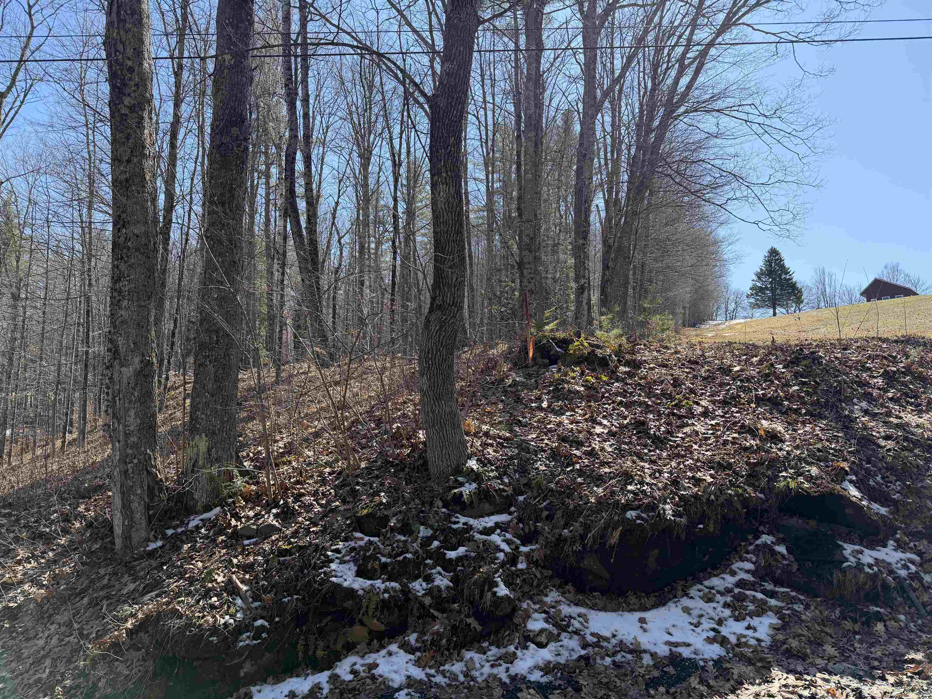 0 Oak Ridge Way Property Photo 17