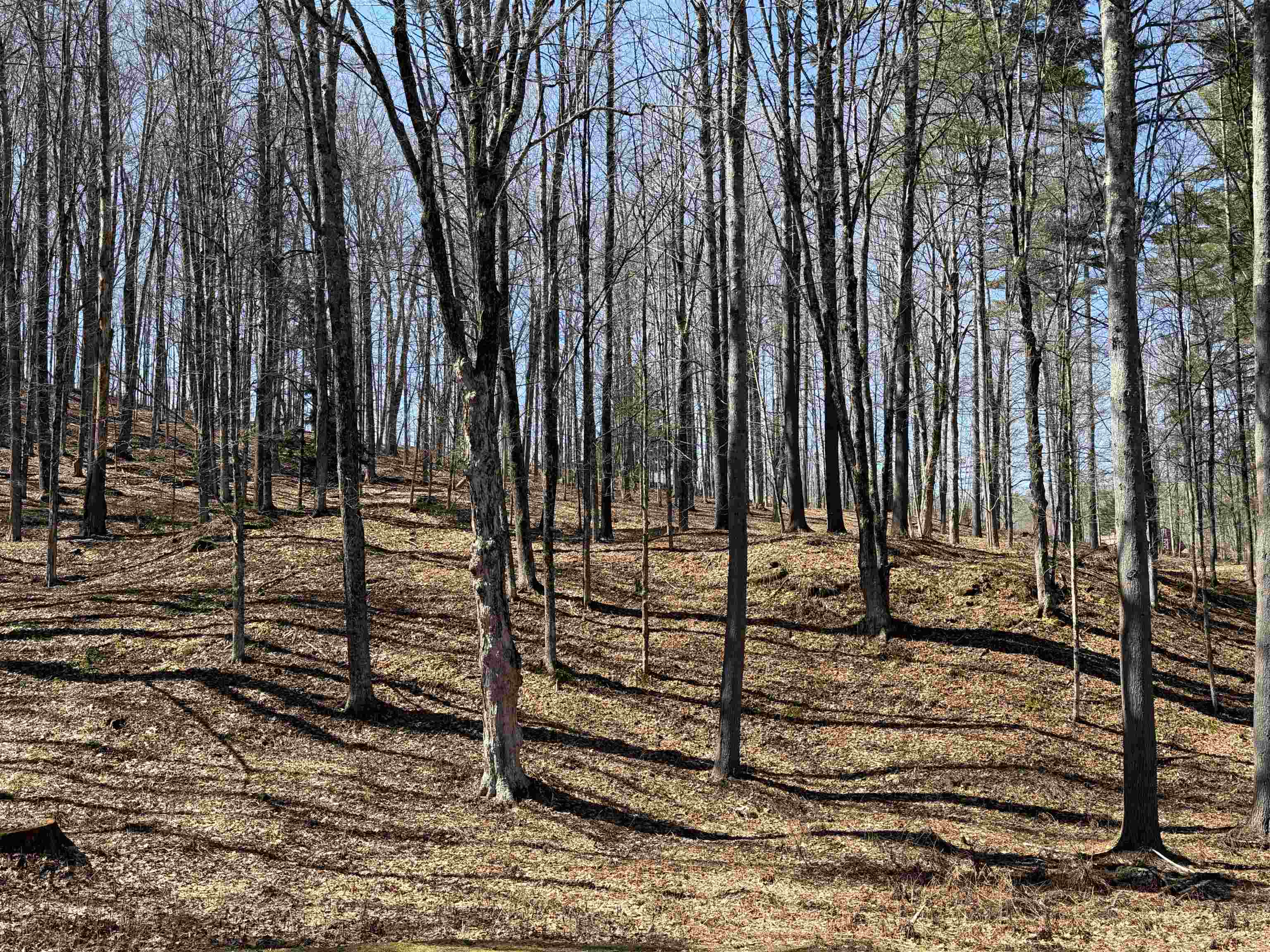 0 Oak Ridge Way Property Photo 19