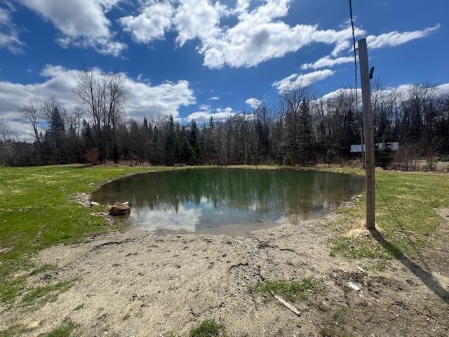 599 Collinsville Road Property Photo 7