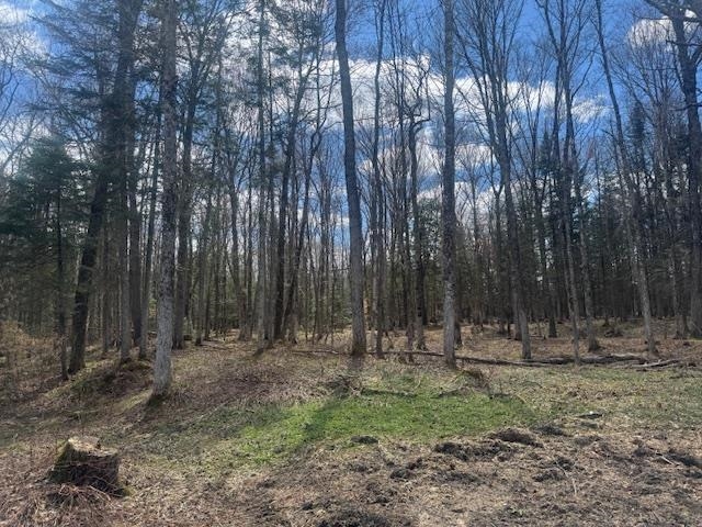 599 Collinsville Road Property Photo 50