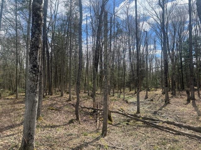 599 Collinsville Road Property Photo 51