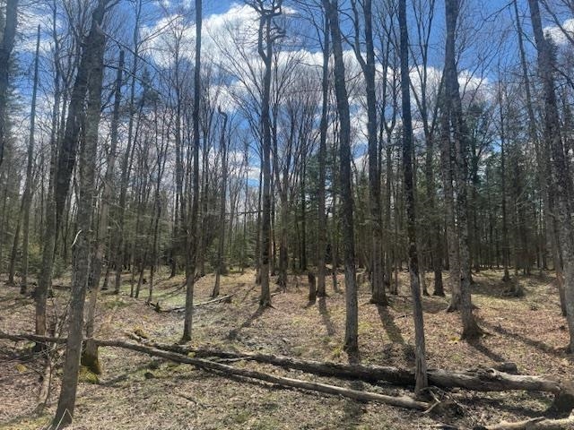 599 Collinsville Road Property Photo 52