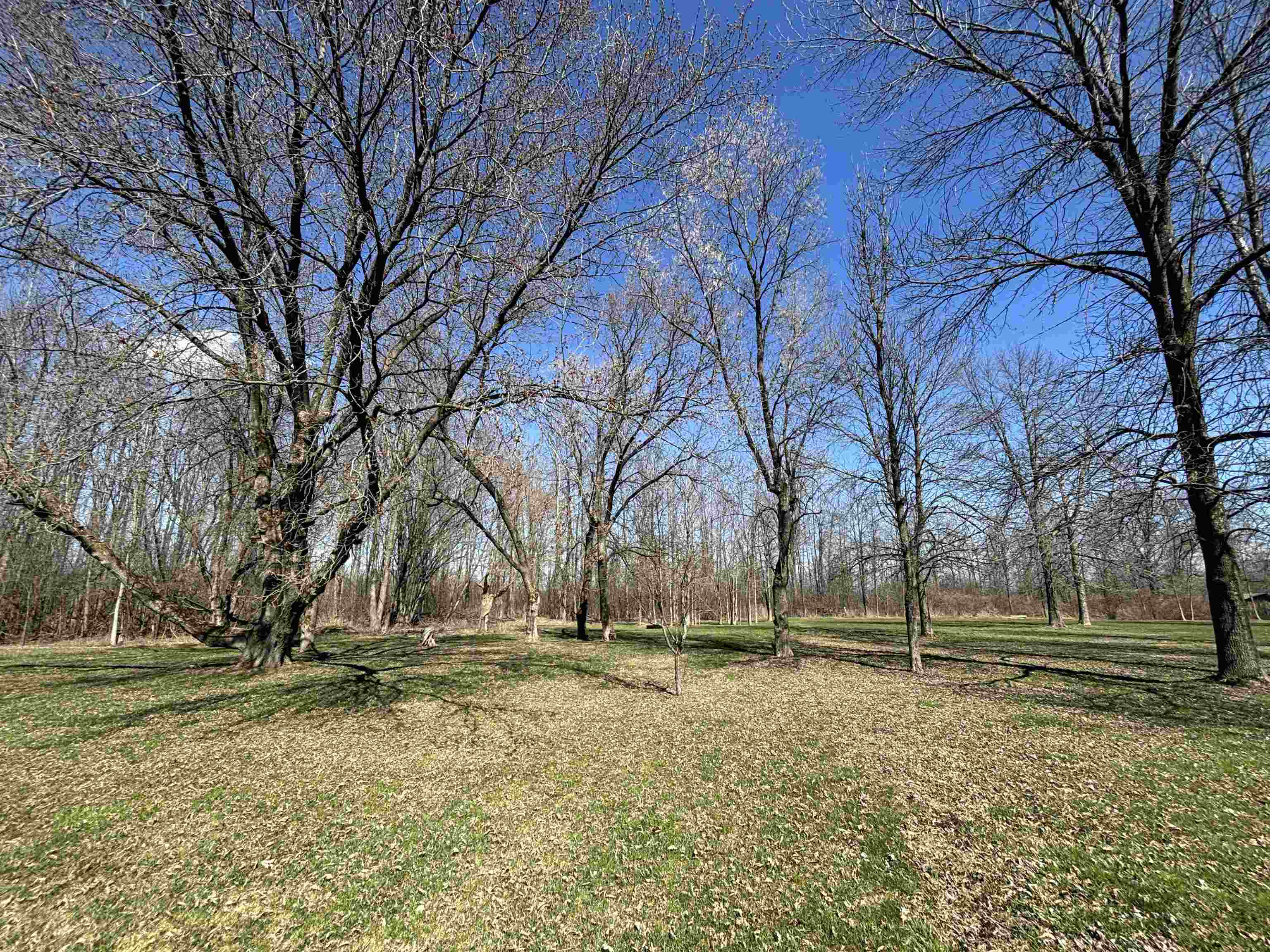 14 Ferry Road Property Photo 46