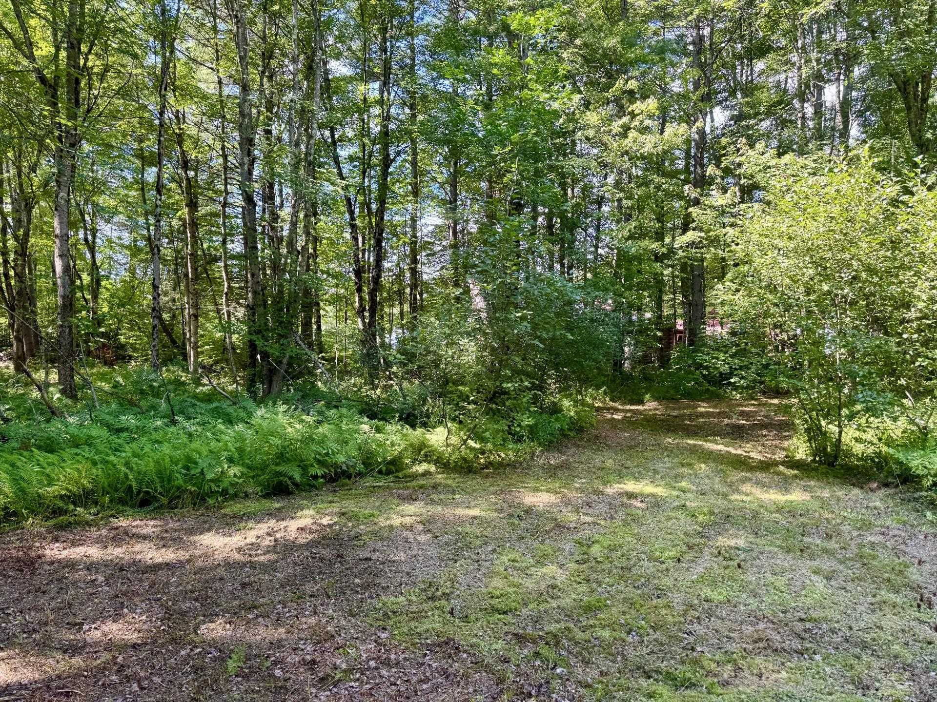 2659 Nh Route 16 Property Photo 2