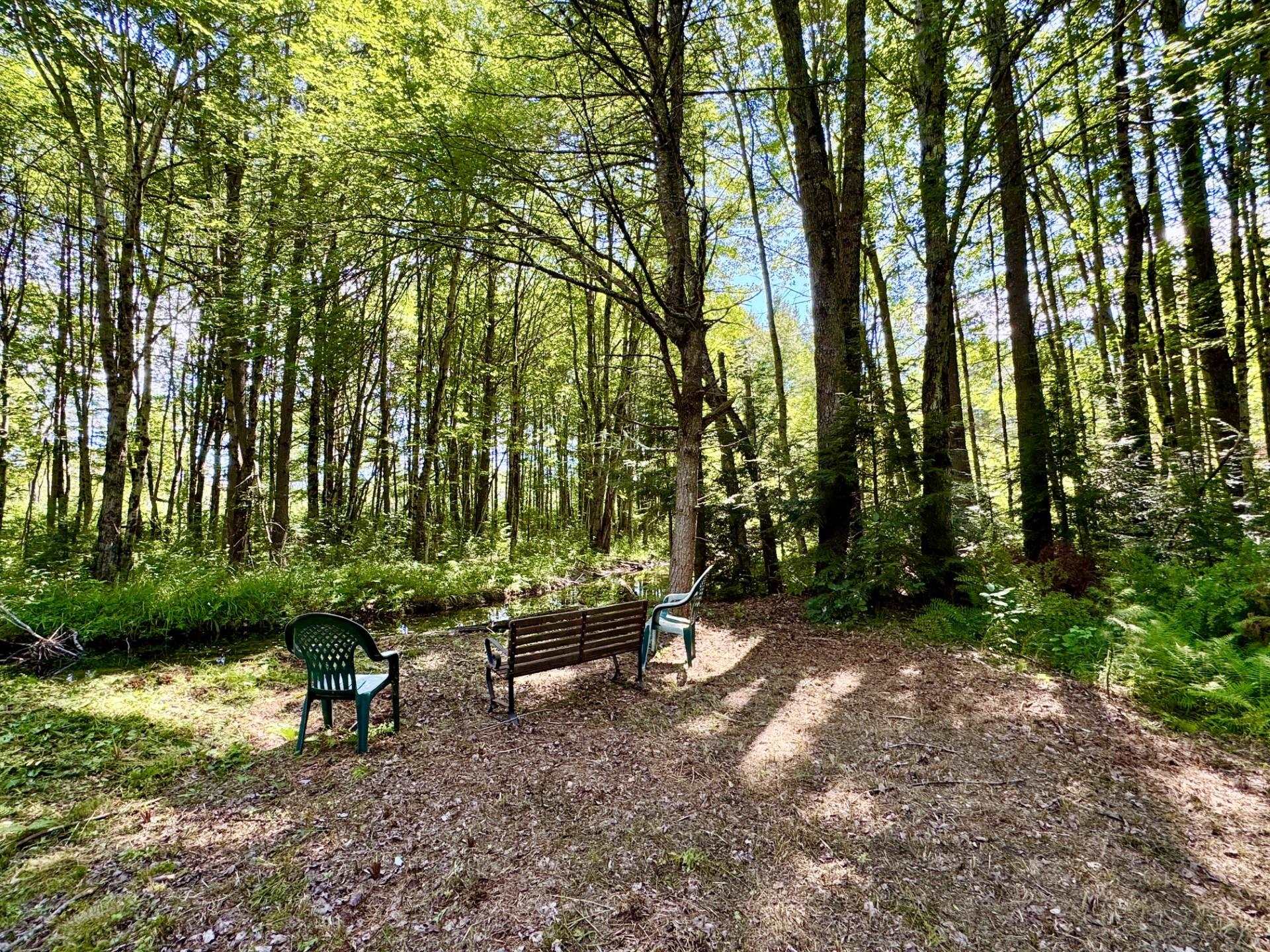 2659 Nh Route 16 Property Photo 3