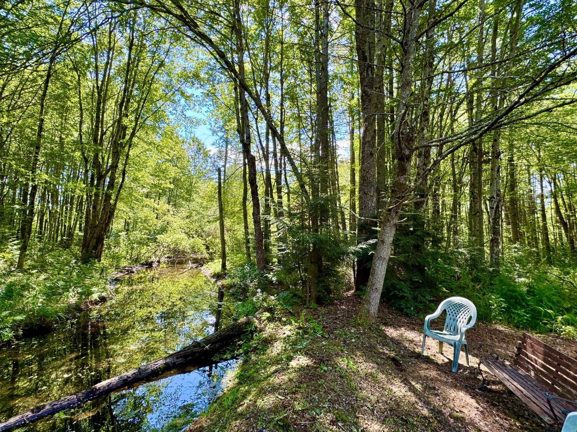 2659 Nh Route 16 Property Photo 4