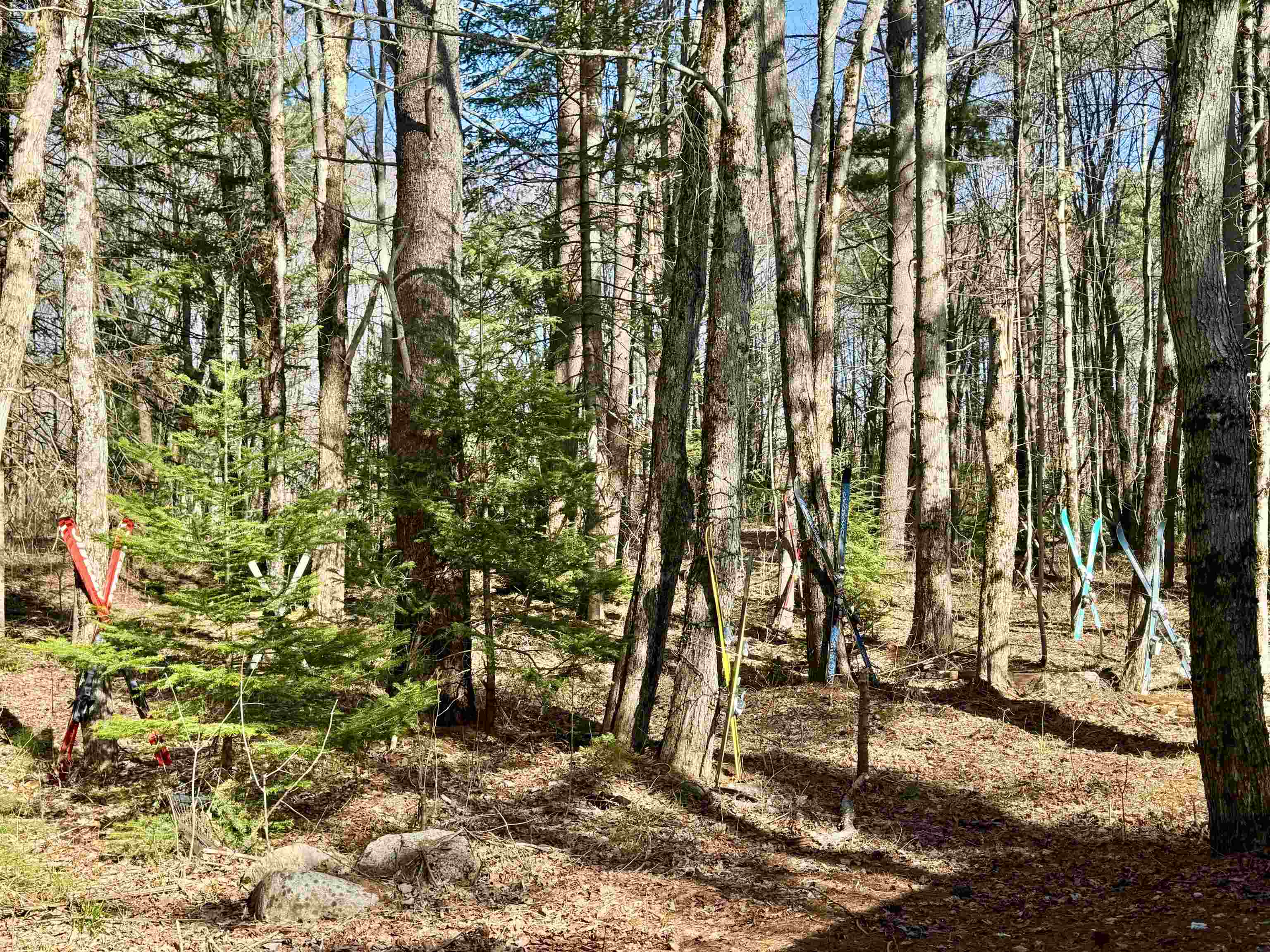 2659 Nh Route 16 Property Photo 37