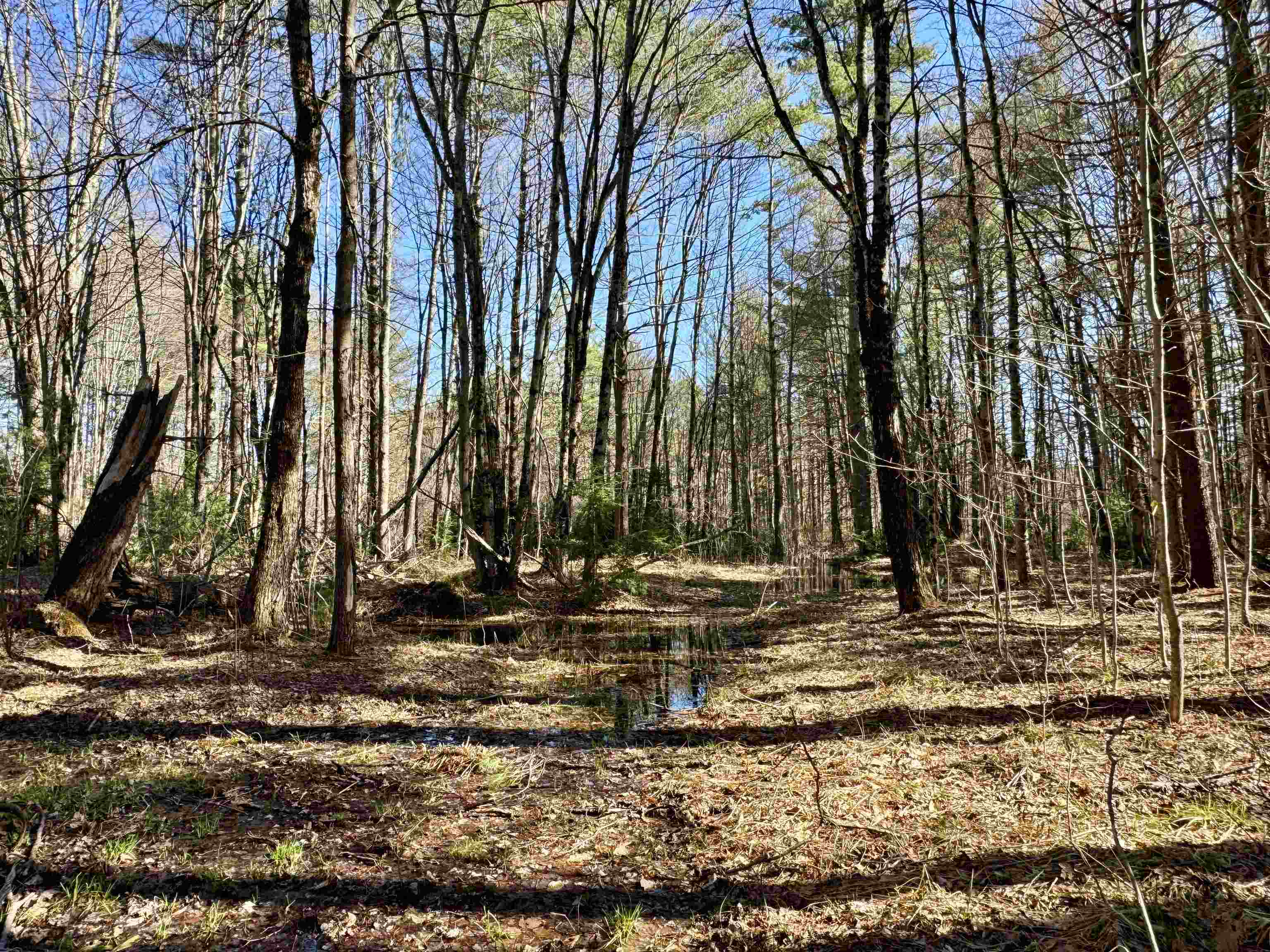 2659 Nh Route 16 Property Photo 38