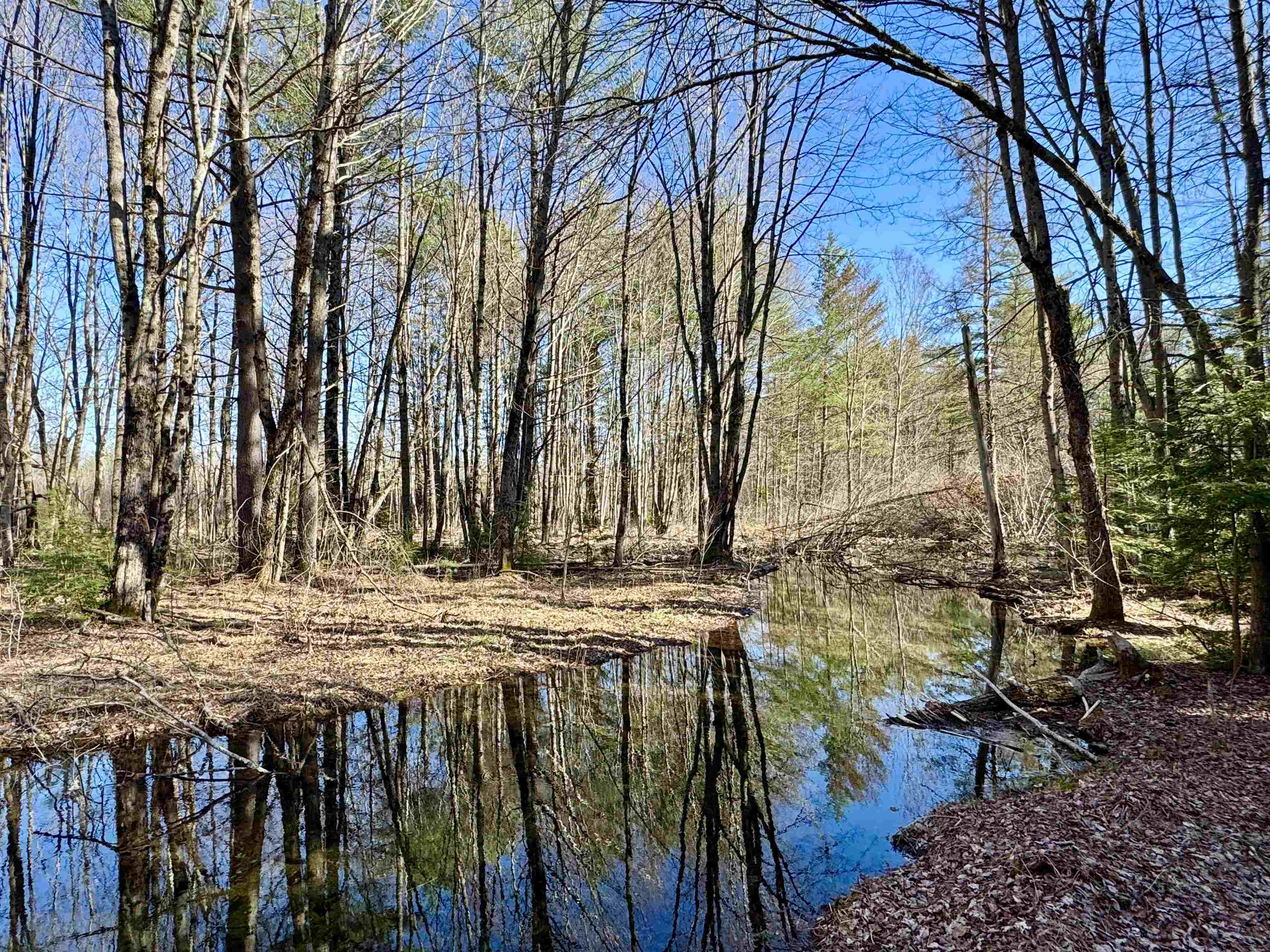 2659 Nh Route 16 Property Photo 39