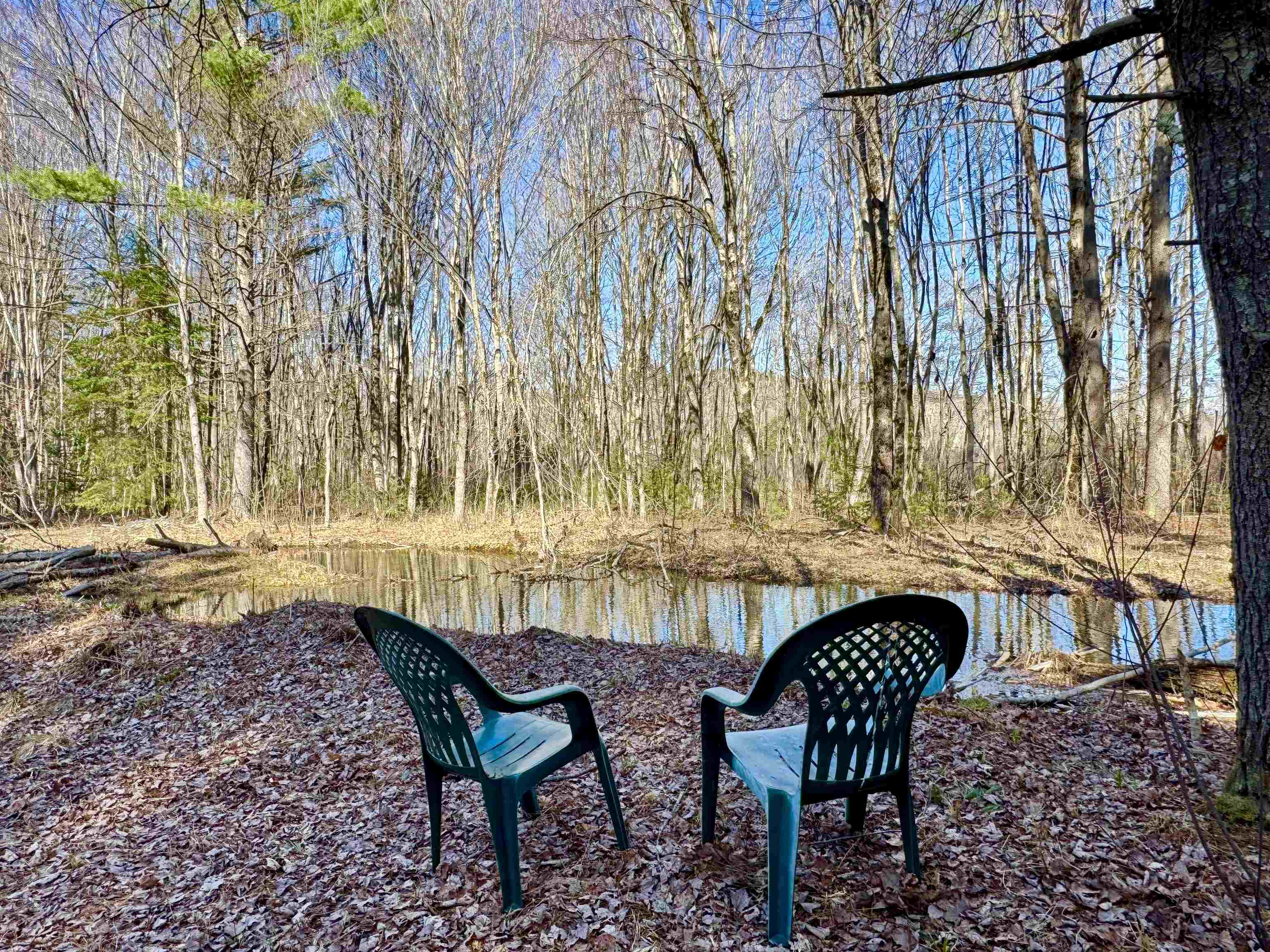 2659 Nh Route 16 Property Photo 40