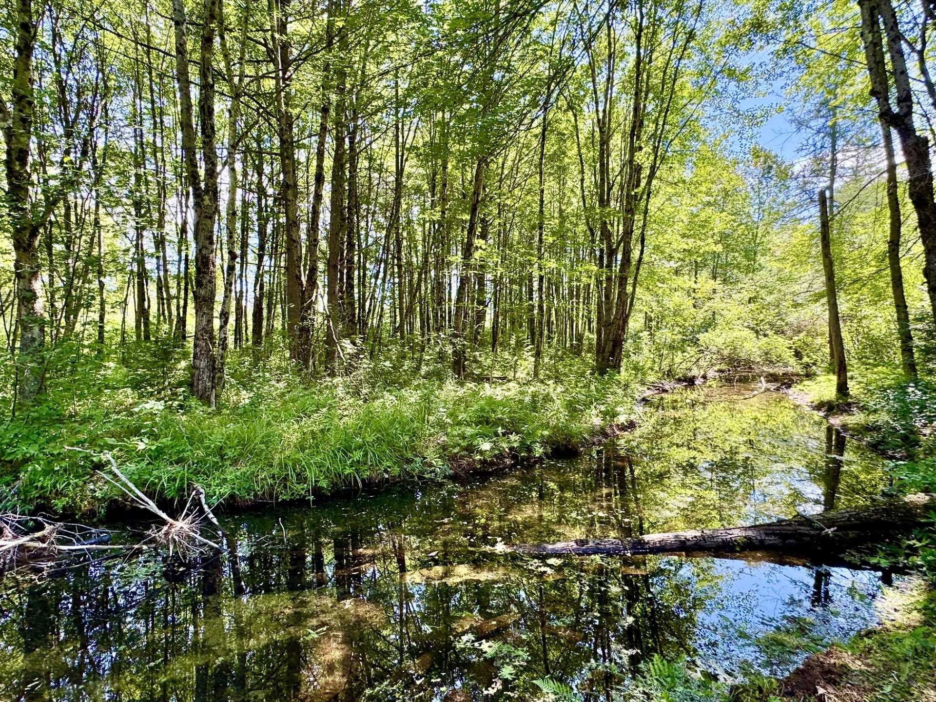 2659 Nh Route 16 Property Photo 41